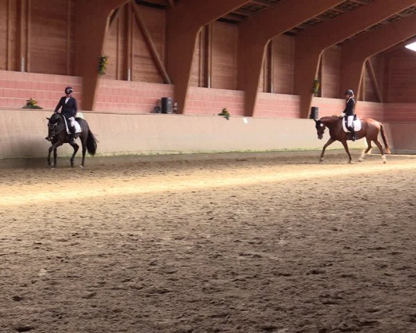 Reitturnier Dortmund-Barop 2021