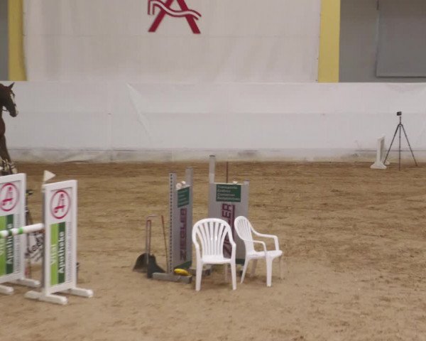 Springturnier Stadl Paura 2023