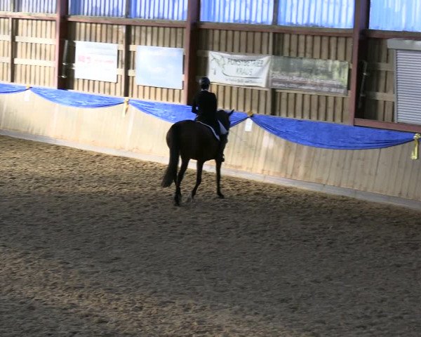 Reitturnier Villmar 2023