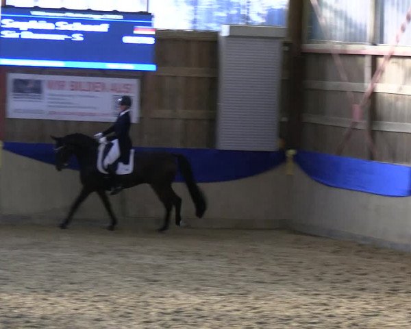 Reitturnier Villmar 2023