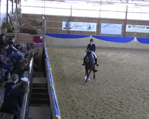 Reitturnier Villmar 2023