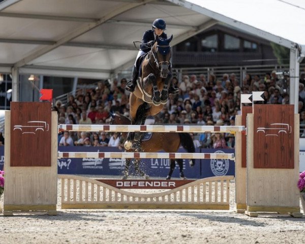 jumper Genesis (KWPN (Royal Dutch Sporthorse), 2011, from Eldorado van de Zeshoek)
