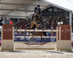 jumper Genesis (KWPN (Royal Dutch Sporthorse), 2011, from Eldorado van de Zeshoek)