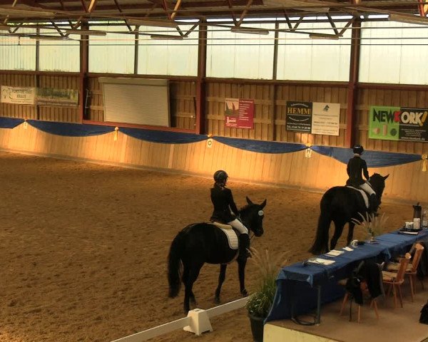 Reitturnier Villmar 2023
