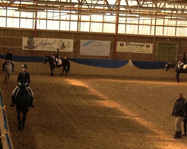 Reitturnier Villmar 2023