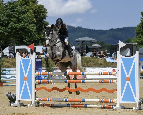 jumper Fade Away Eda Z (Zangersheide riding horse, 2016, from Fair Play)