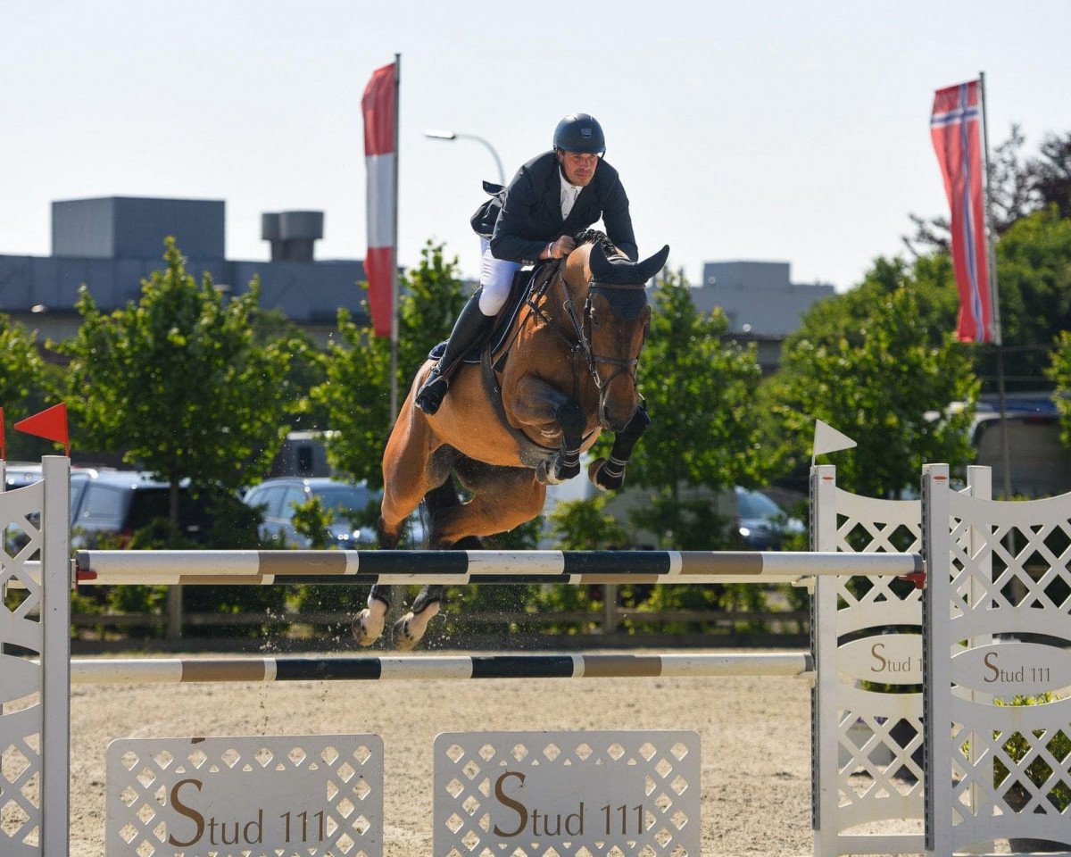 broodmare Ellipse de Lezellec (Selle Français, 2014, from Kannan)