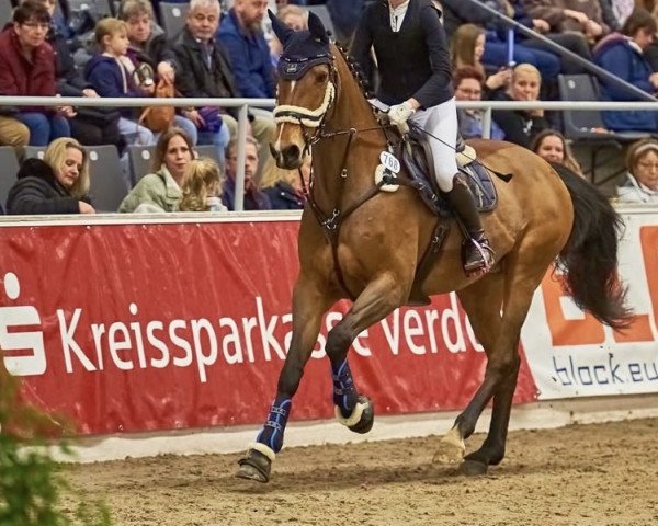 jumper It - Girl (Hanoverian, 2007, from Iberio)