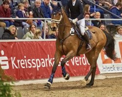 jumper It - Girl (Hanoverian, 2007, from Iberio)