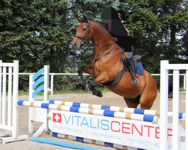 horse Le Muscat CH (Swiss Warmblood, 2003)