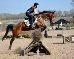 dressage horse Petite Bonheur (Oldenburg, 2005, from Quando-Quando)
