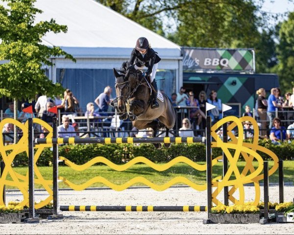 jumper Obora's Laura (Estonian Sport, 2015, from Luidam)