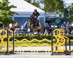 jumper Obora's Laura (Estonian Sport, 2015, from Luidam)