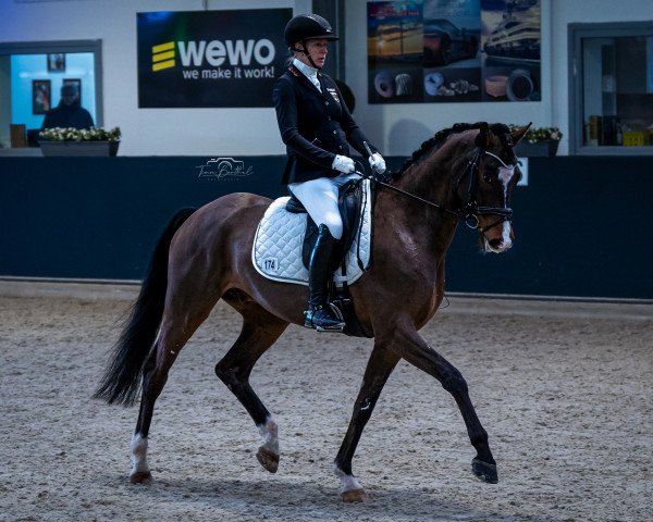 dressage horse Feuerherz 4 (Westphalian, 2015, from Farrell)