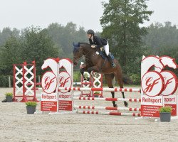 Springpferd Sam's Flying Dream (KWPN (Niederländisches Warmblut), 2018, von Sam R)