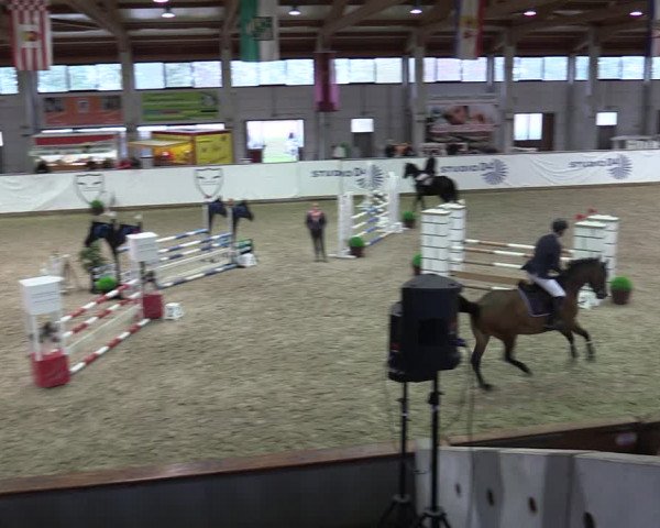 Reitturnier Prussendorf 2023