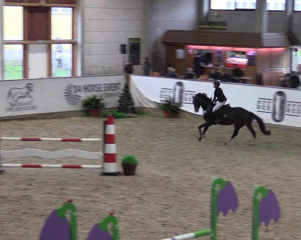 Reitturnier Prussendorf 2023