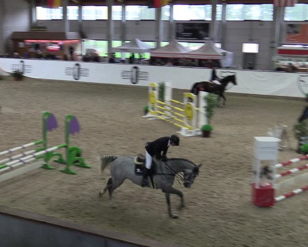 Reitturnier Prussendorf 2023