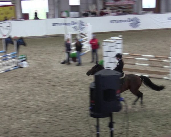 Reitturnier Prussendorf 2023