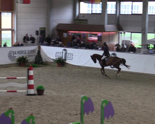 Reitturnier Prussendorf 2023