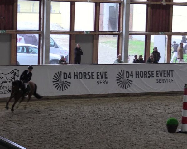 Reitturnier Prussendorf 2023