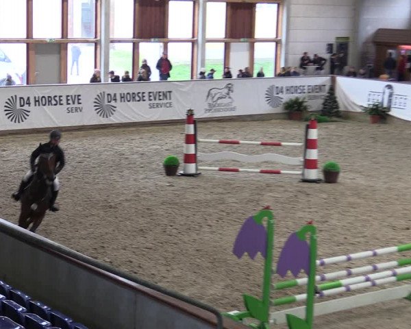 Reitturnier Prussendorf 2023
