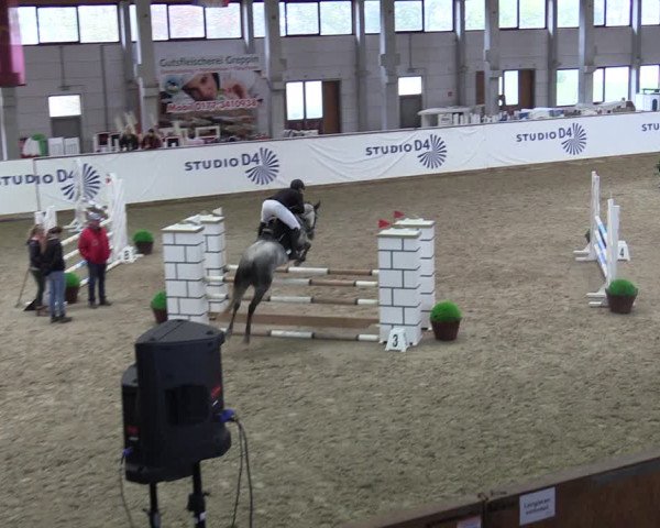 Reitturnier Prussendorf 2023