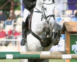 broodmare Antonia 121 (Saxony-Anhaltiner, 2002, from Askari)
