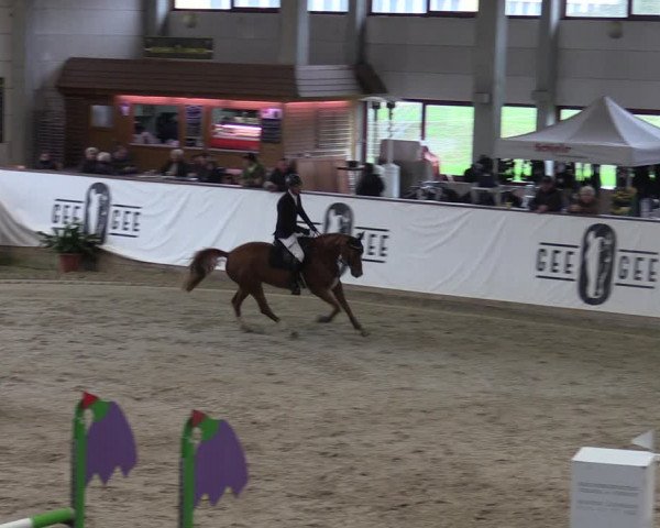 Reitturnier Prussendorf 2023