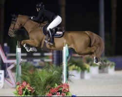 broodmare Missy van de Neerheide (Belgian Warmblood, 2012, from Emerald van 't Ruytershof)