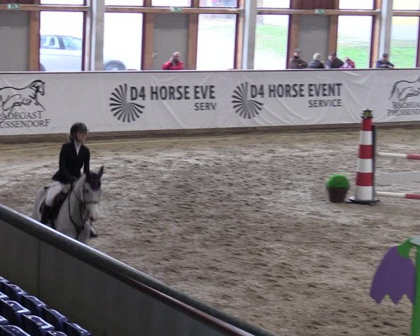 Reitturnier Prussendorf 2023