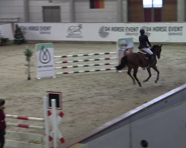 Reitturnier Prussendorf 2023