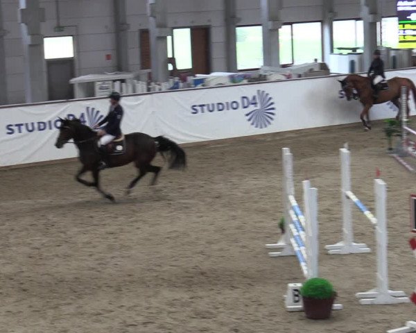 Reitturnier Prussendorf 2023