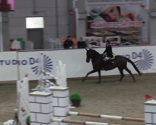 Reitturnier Prussendorf 2023