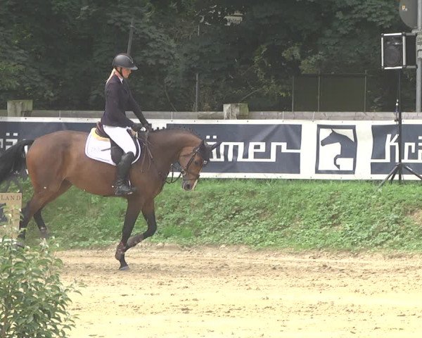 Springturnier Walldorf/Winterheck 2021