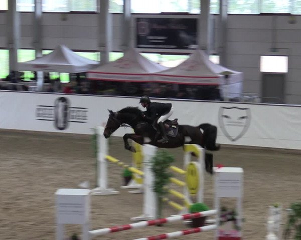 Reitturnier Prussendorf 2023