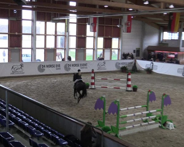 Reitturnier Prussendorf 2023