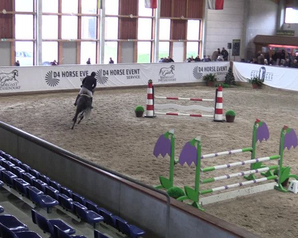 Reitturnier Prussendorf 2023