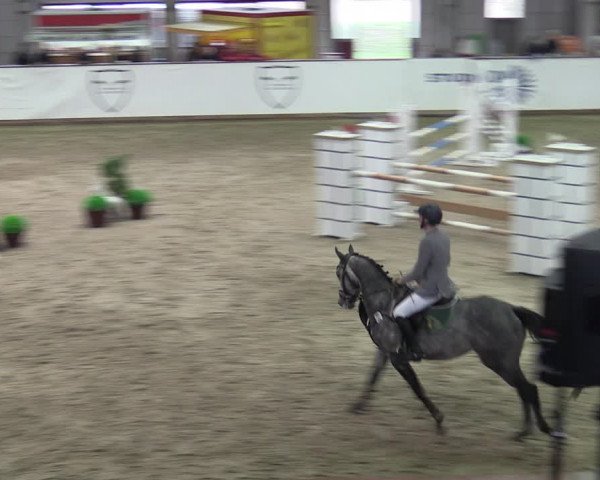 Reitturnier Prussendorf 2023