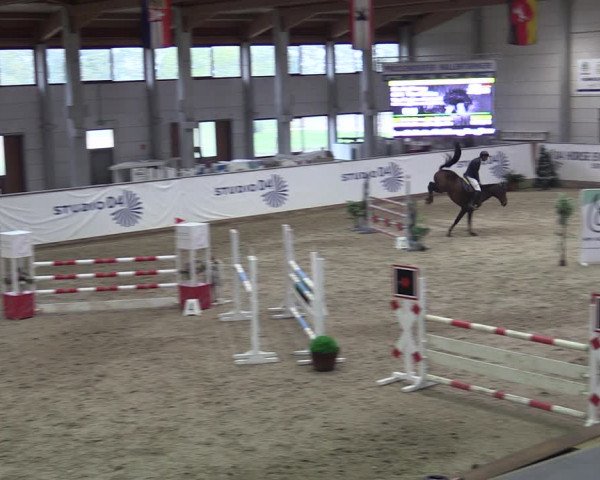 Reitturnier Prussendorf 2023