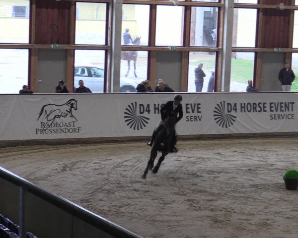 Reitturnier Prussendorf 2023