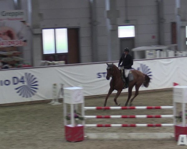 Reitturnier Prussendorf 2023