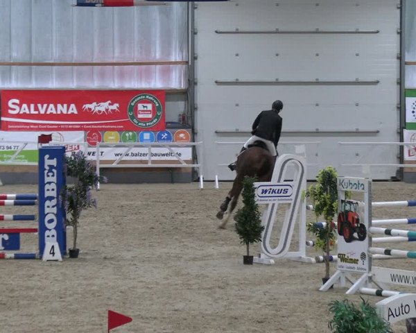 Reitturnier Borken 2023