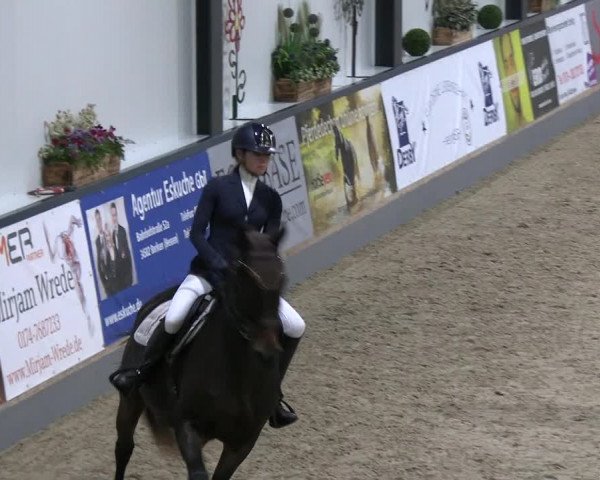 Reitturnier Borken 2023