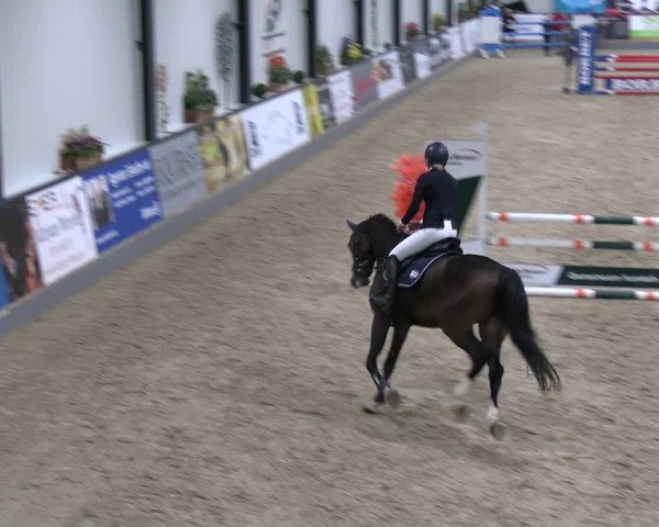 Reitturnier Borken 2023