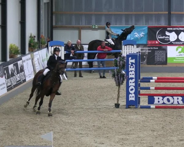 Reitturnier Borken 2023