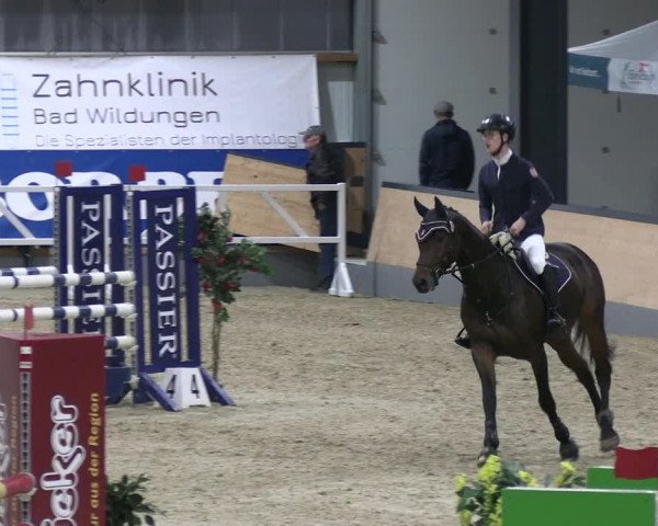 Reitturnier Borken 2023