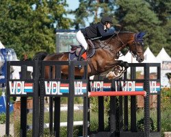 jumper Diachango Blue PS (Oldenburg show jumper, 2017, from Diaron OLD)