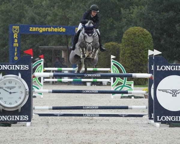 stallion Diakato PS (Oldenburg show jumper, 2017, from Diaron OLD)