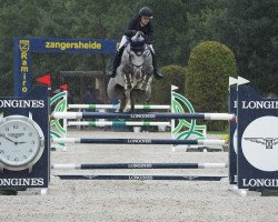 stallion Diakato PS (Oldenburg show jumper, 2017, from Diaron OLD)